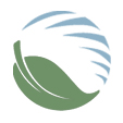 David Suzuki Foundation